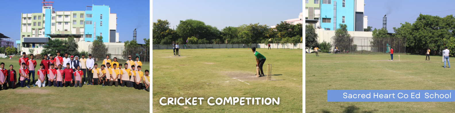 CRICKET_COMPETITION_1.png